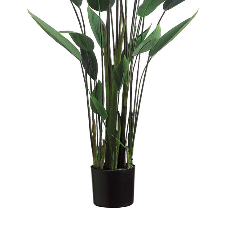 Creative Displays, Inc. 5.5' Faux Water Canna in Liner Perigold